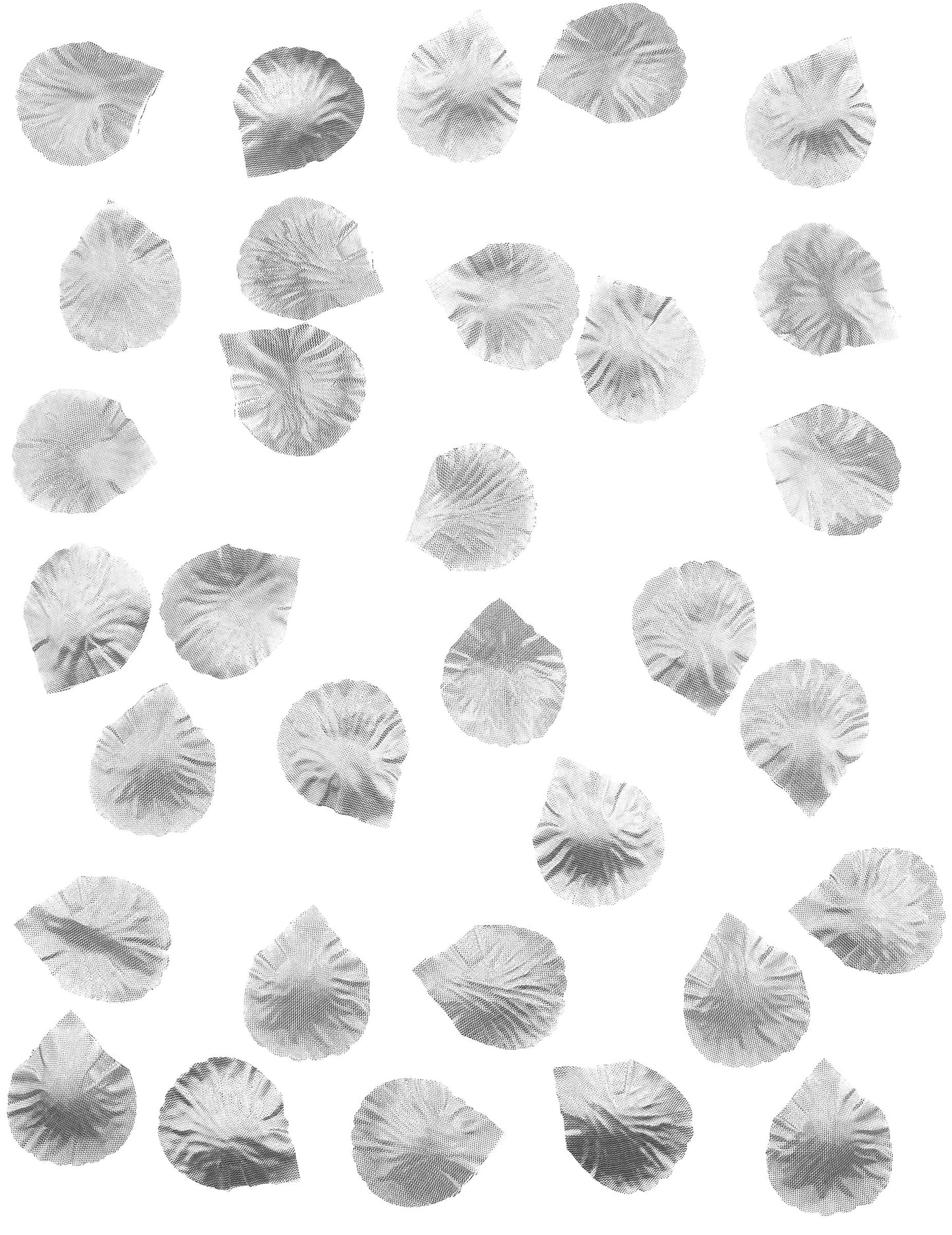 100 petale roz în țesătură de argint 5 x 5 cm