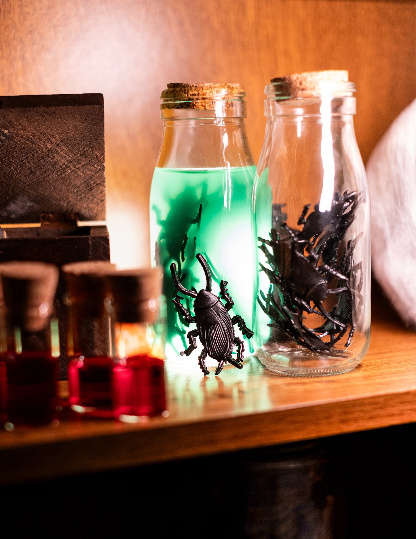 Détail des insectes dans des flacons en verre du lot de 12 cafards Halloween pour décoration