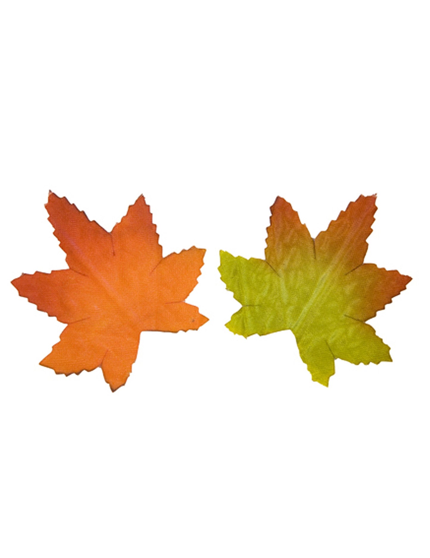 20 de frunze de toamnă 5.5 cm galben, verde și portocaliu