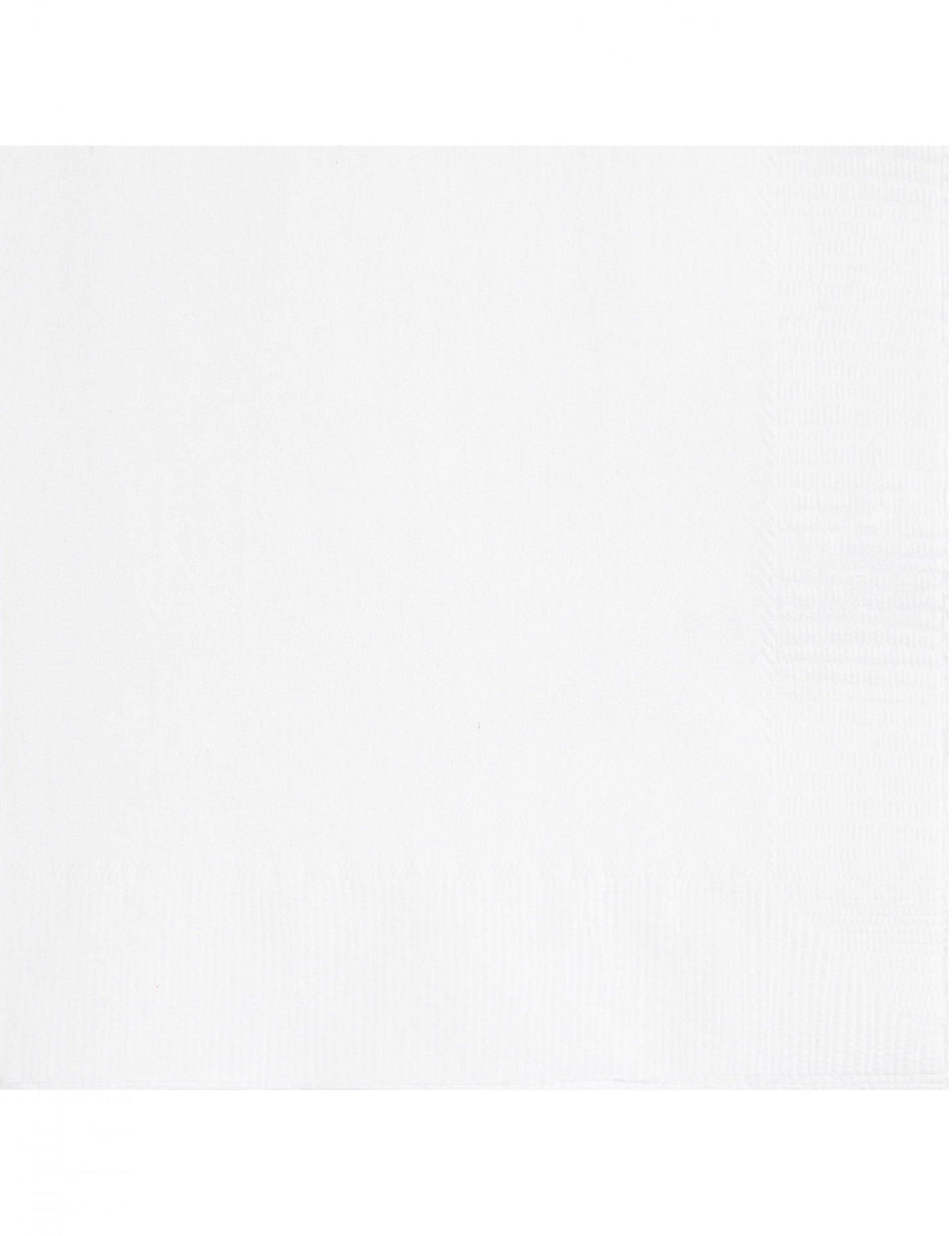 20 Petites serviettes en papier blanches 25 x 25 cm
