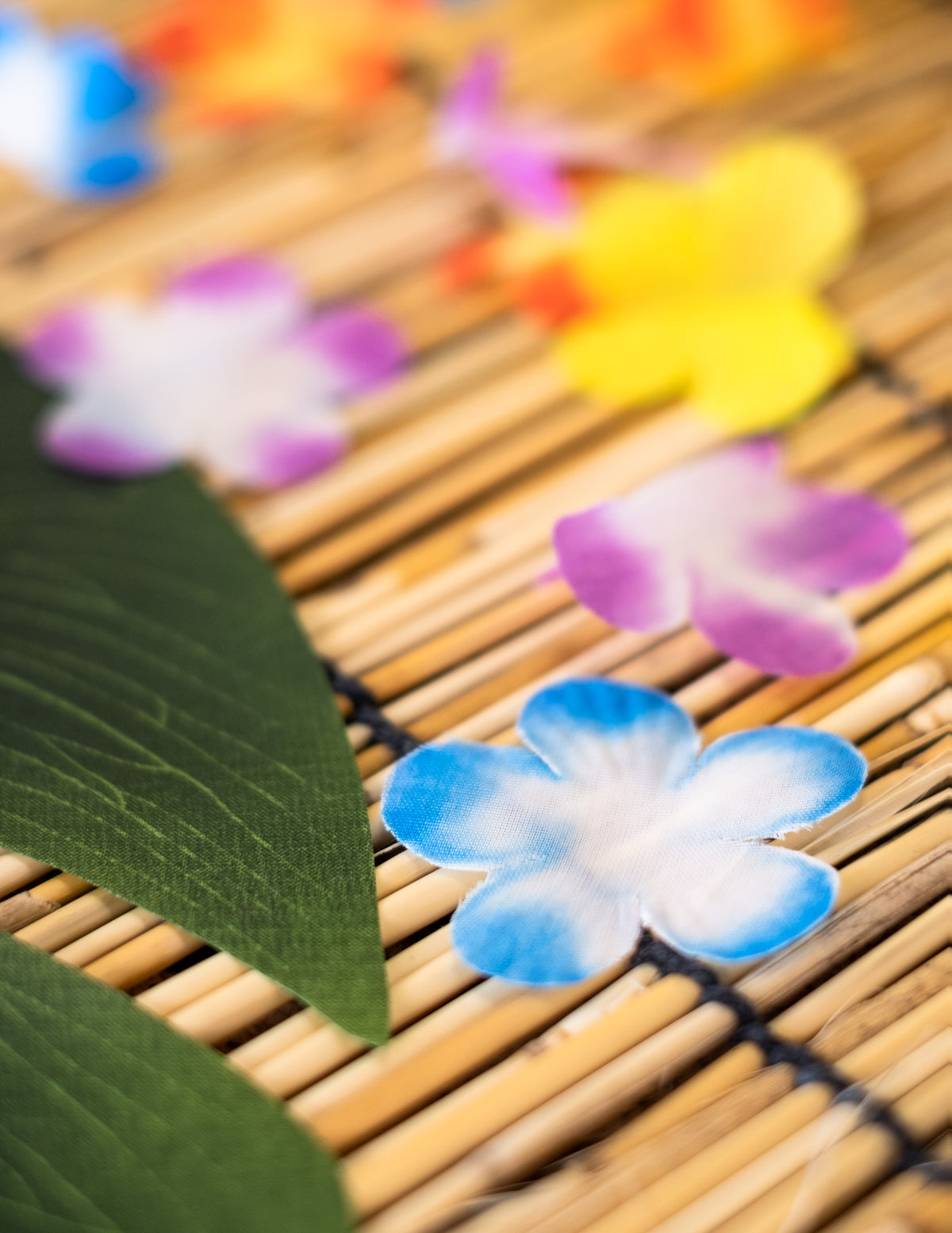 Prim-plan asupra petalelor colorate ale florilor decorative hawaii