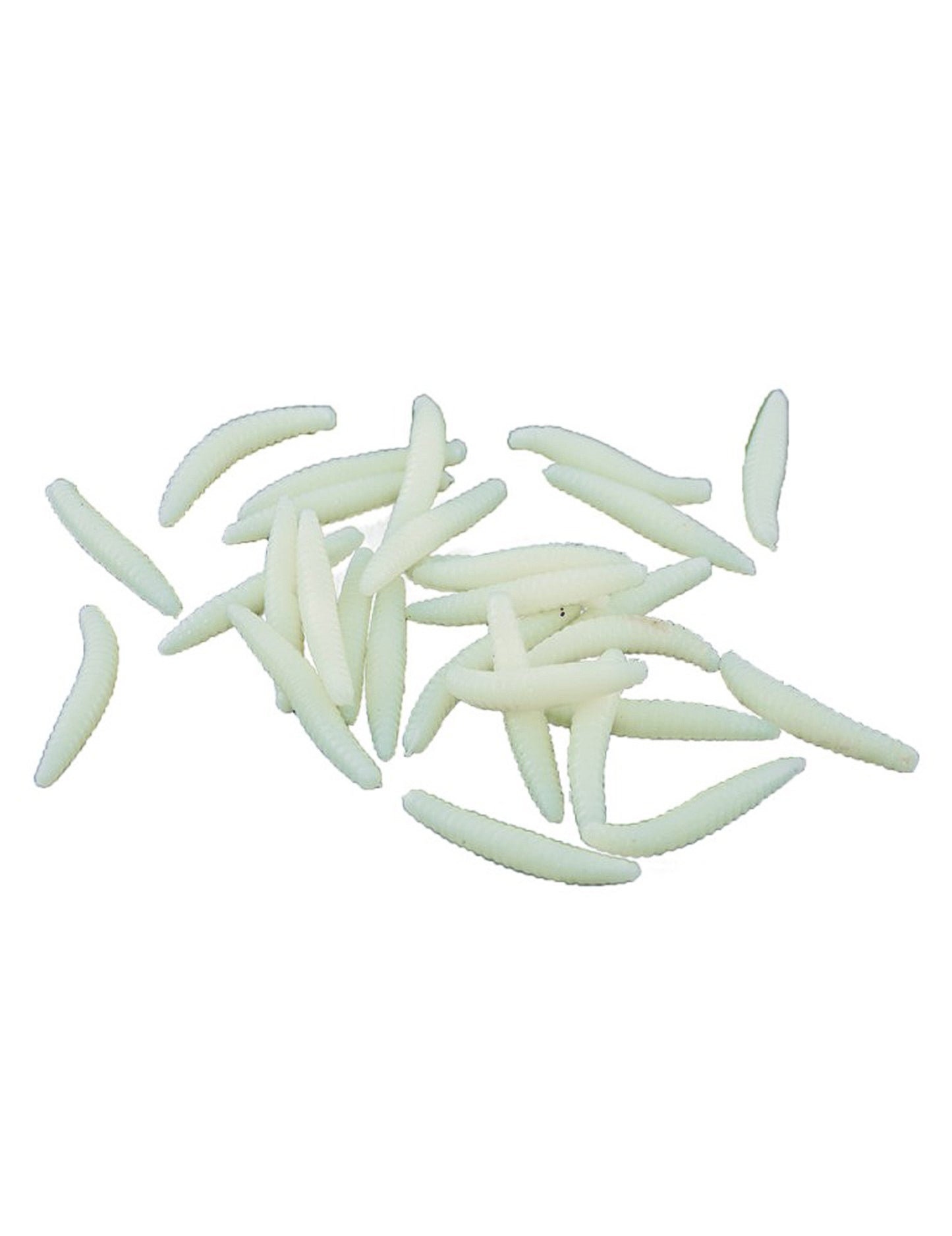 40 Maggots Alb 3 cm