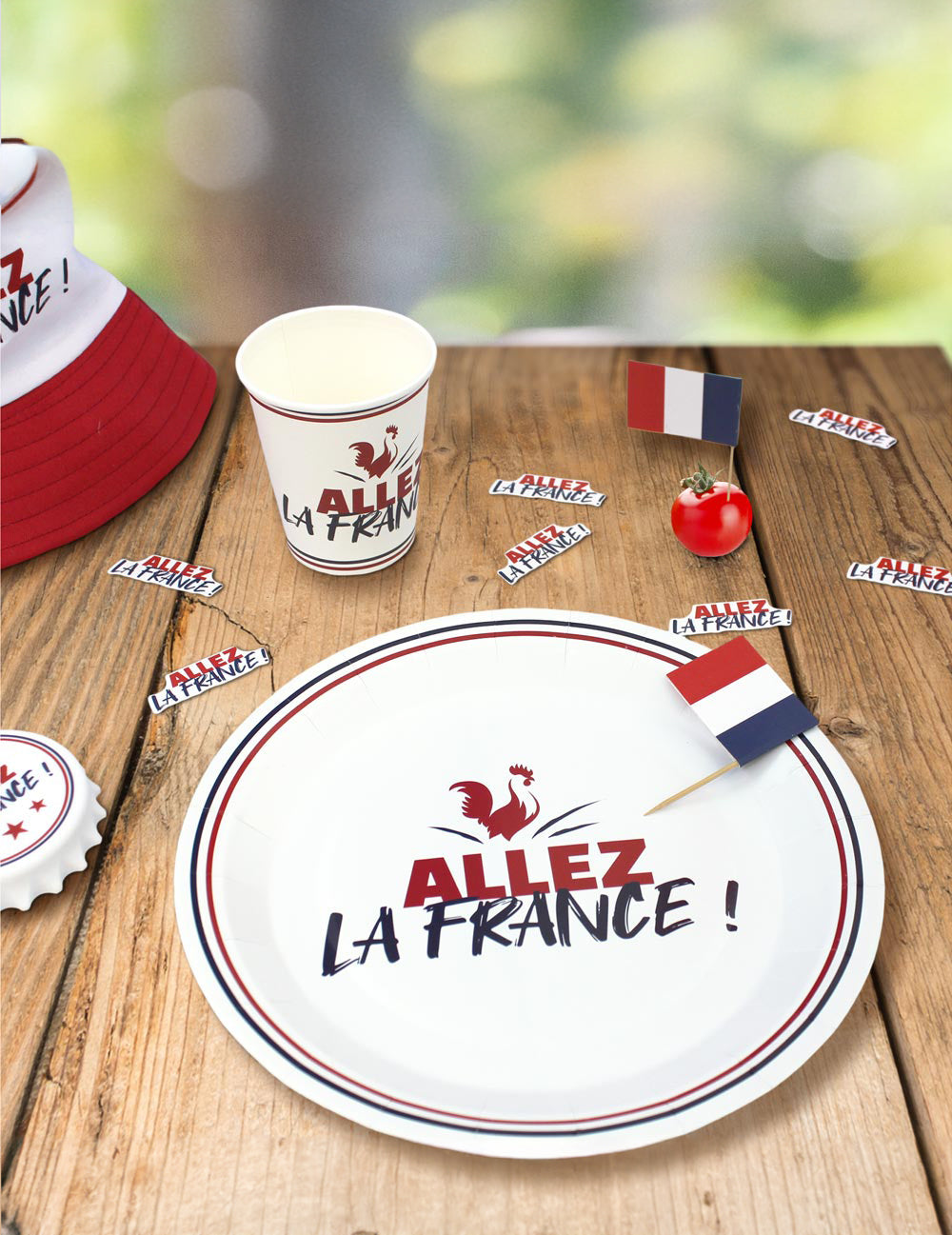 6 plăci de carton „Go France” 23 cm