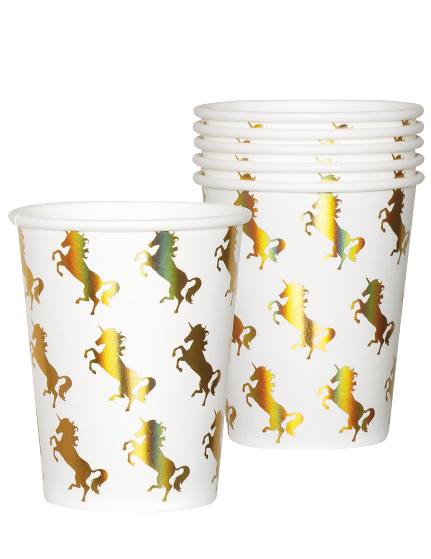 10 carton de carton holo 25 cl