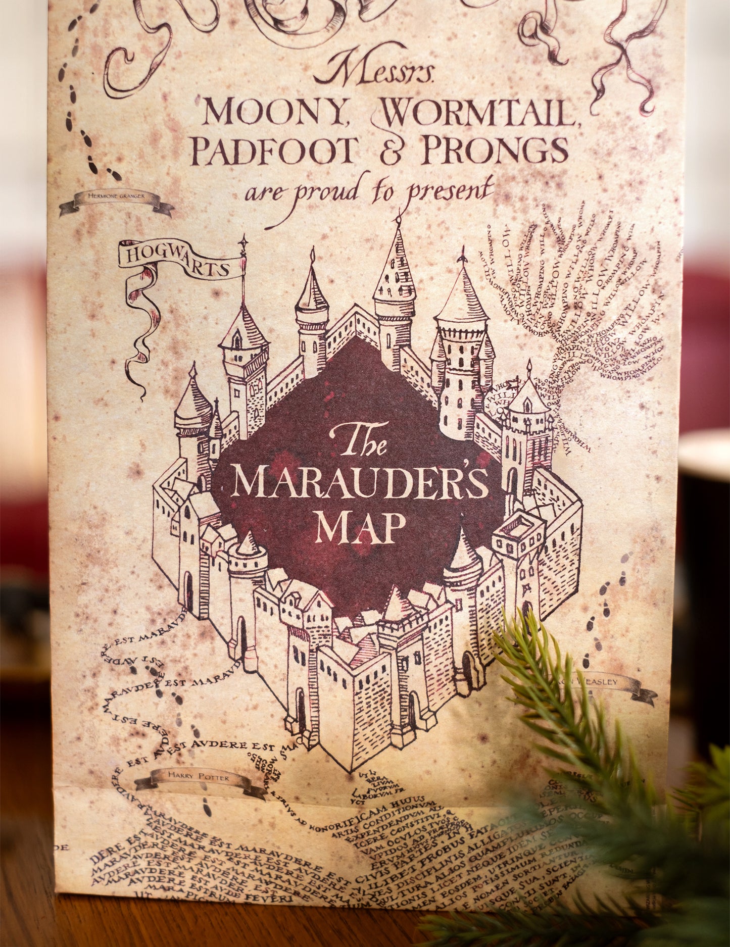 6 pungi cadou Harry Potter