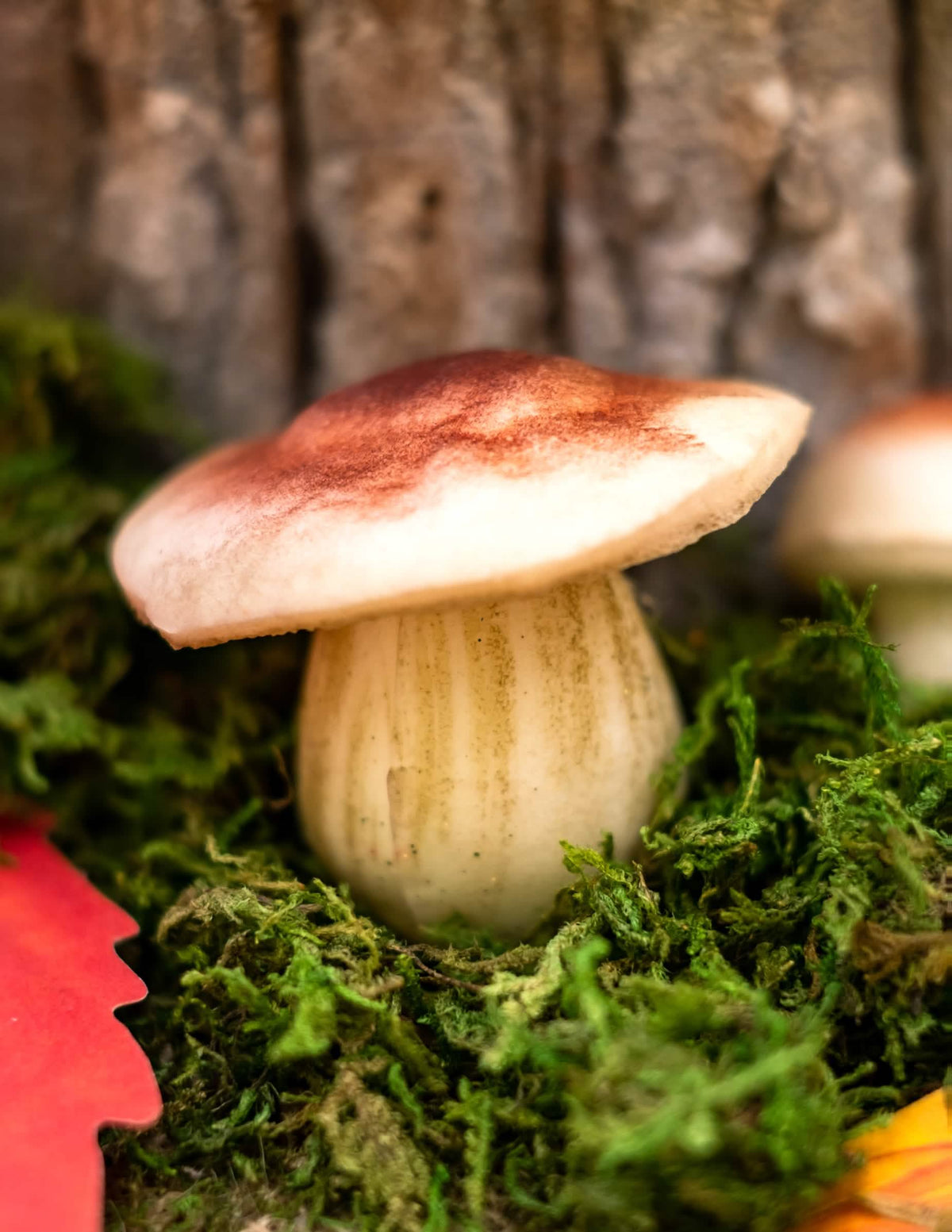 Vedere din profil a unei ciuperci din ciuperci din spumă, aspect natural