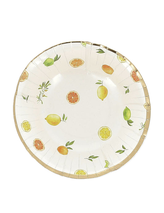 8 boluri cu citrice, carton, crem, portocaliu, galben și auriu, 13,5 cm, decor fructat