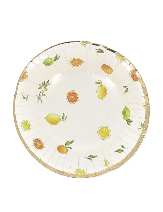 8 boluri cu citrice, carton, crem, portocaliu, galben și auriu, 13,5 cm, decor fructat