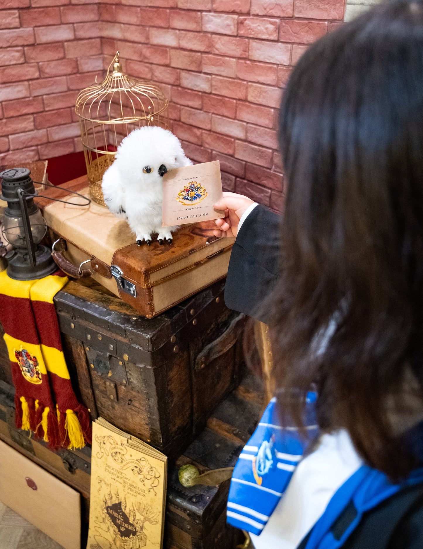 Mise en scène avec une chouette en peluche des cartes d'invitation Harry Potter