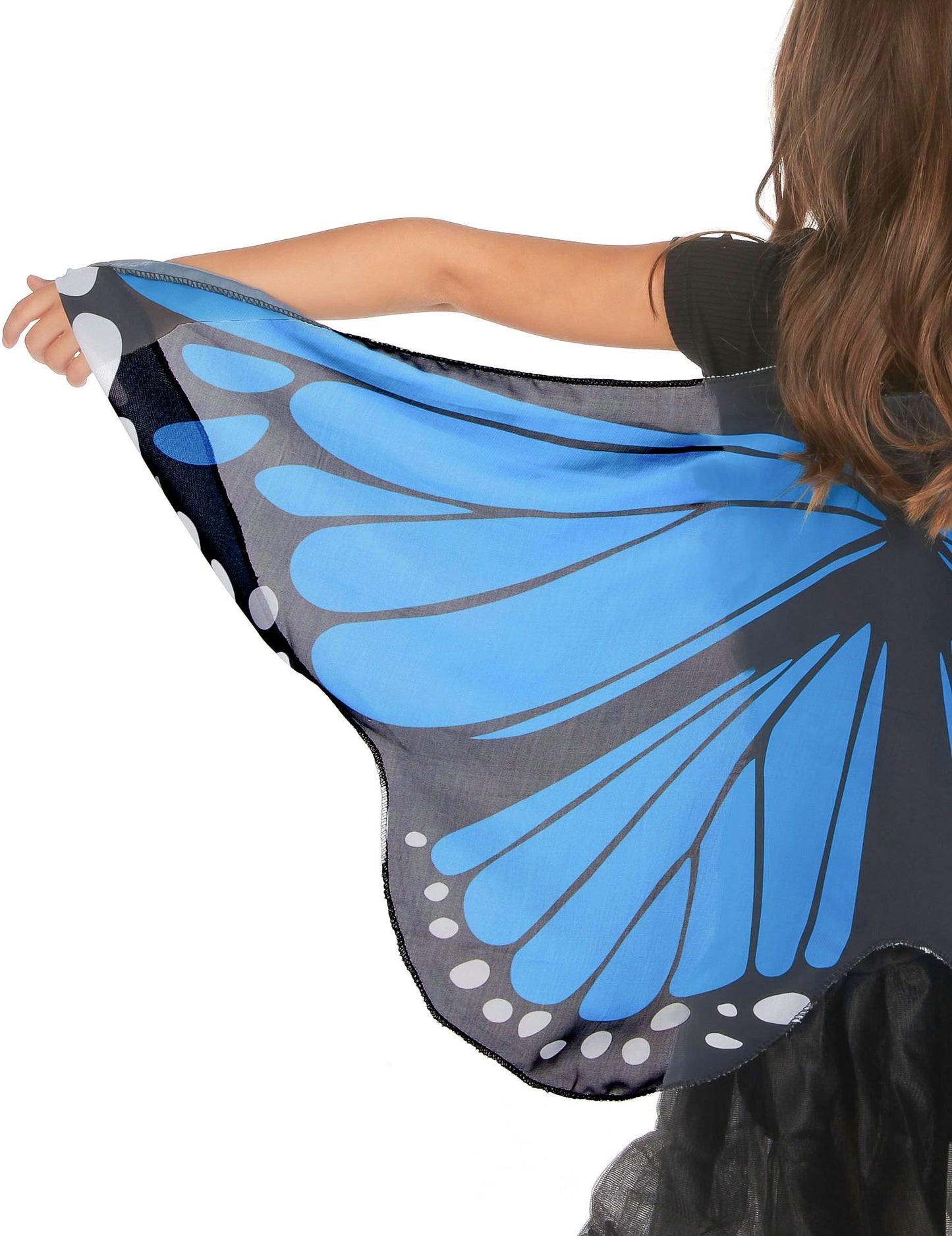 Aripi de fluture albastru și negru