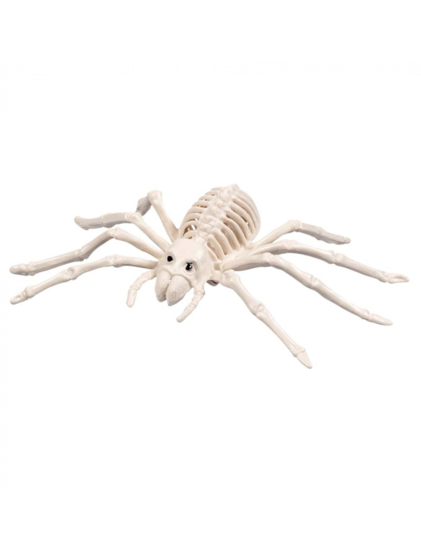 Araignée squelette d'Halloween pour décoration beige