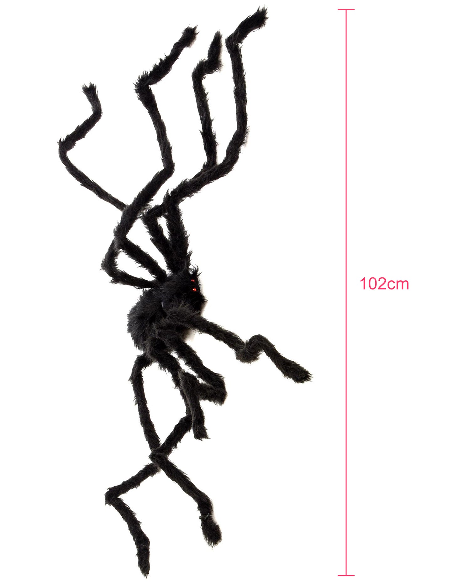 Aperçu des dimensions de l'araignée velue Halloween