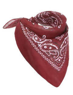Accesorii roșii