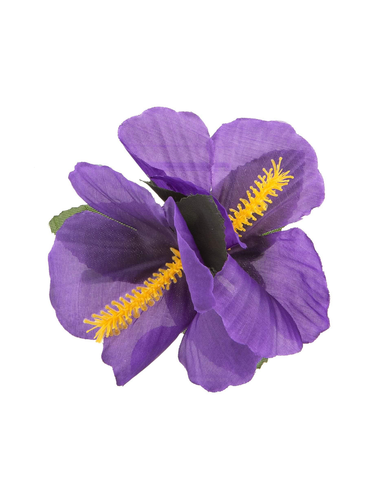 Prim-plan asupra pistilului galben al baretei floare hawaii