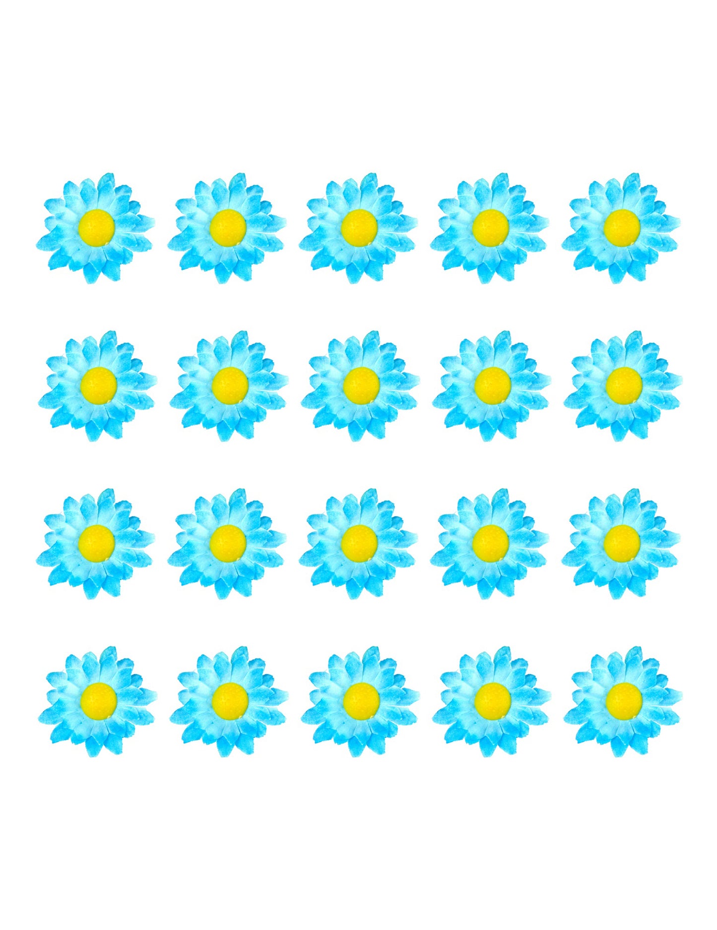 Cutie de 20 de flori de margarete albastre