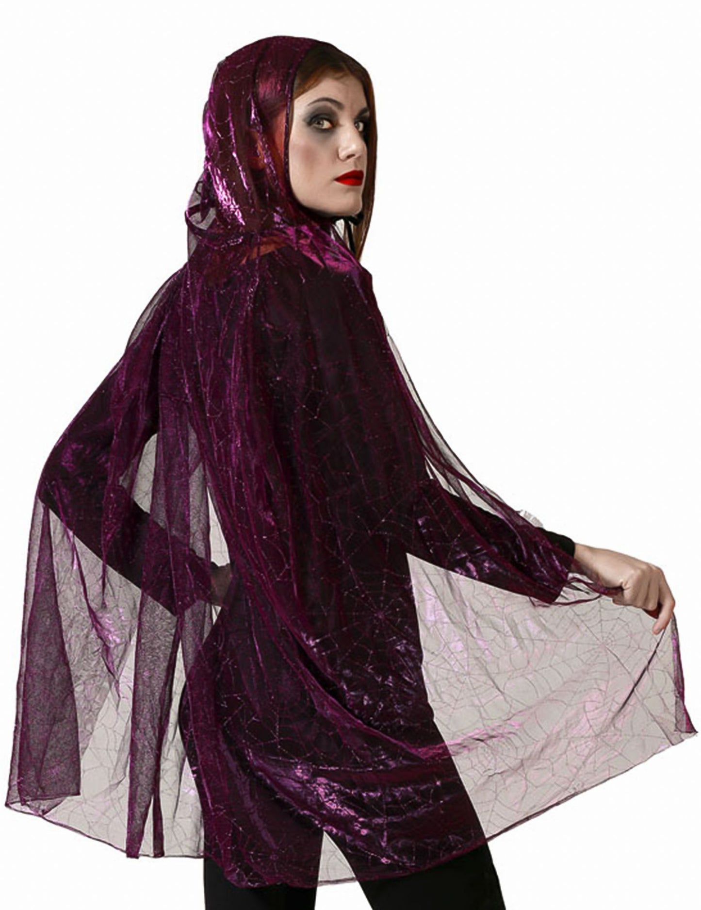 Adult de păianjen purpuriu cu glugă