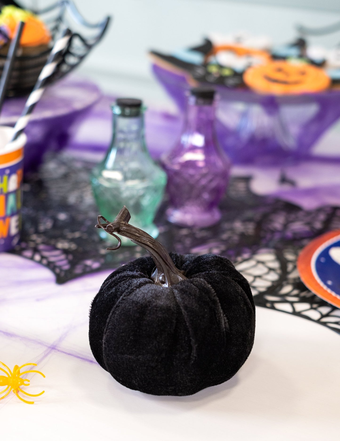 Dovleac de catifea neagra 10 cm