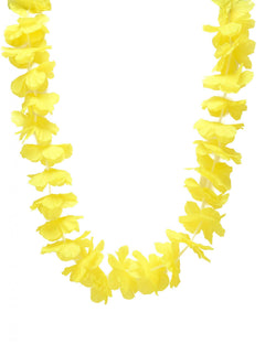 Accesorii Brazilia