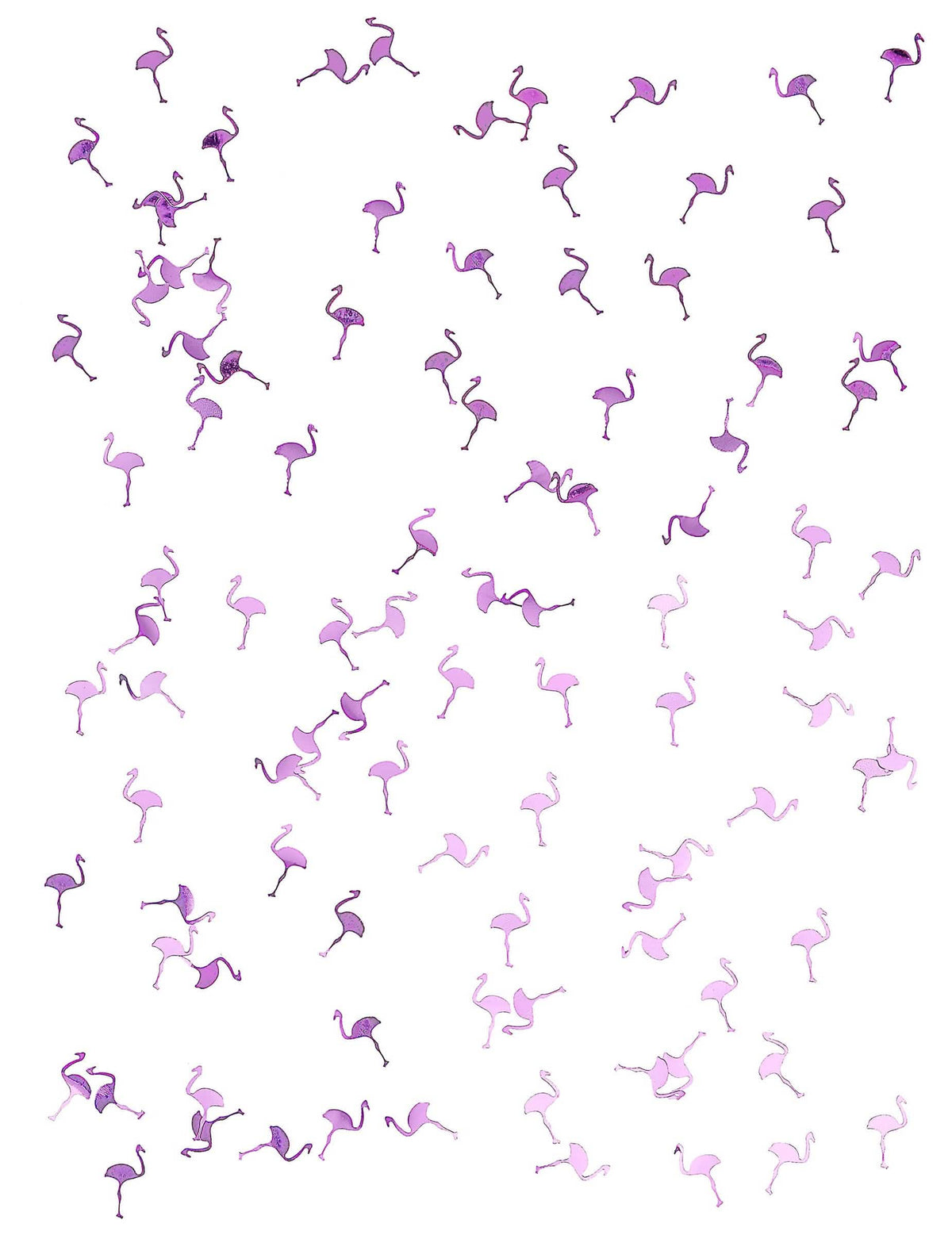 Prim-plan al confetti flamingo