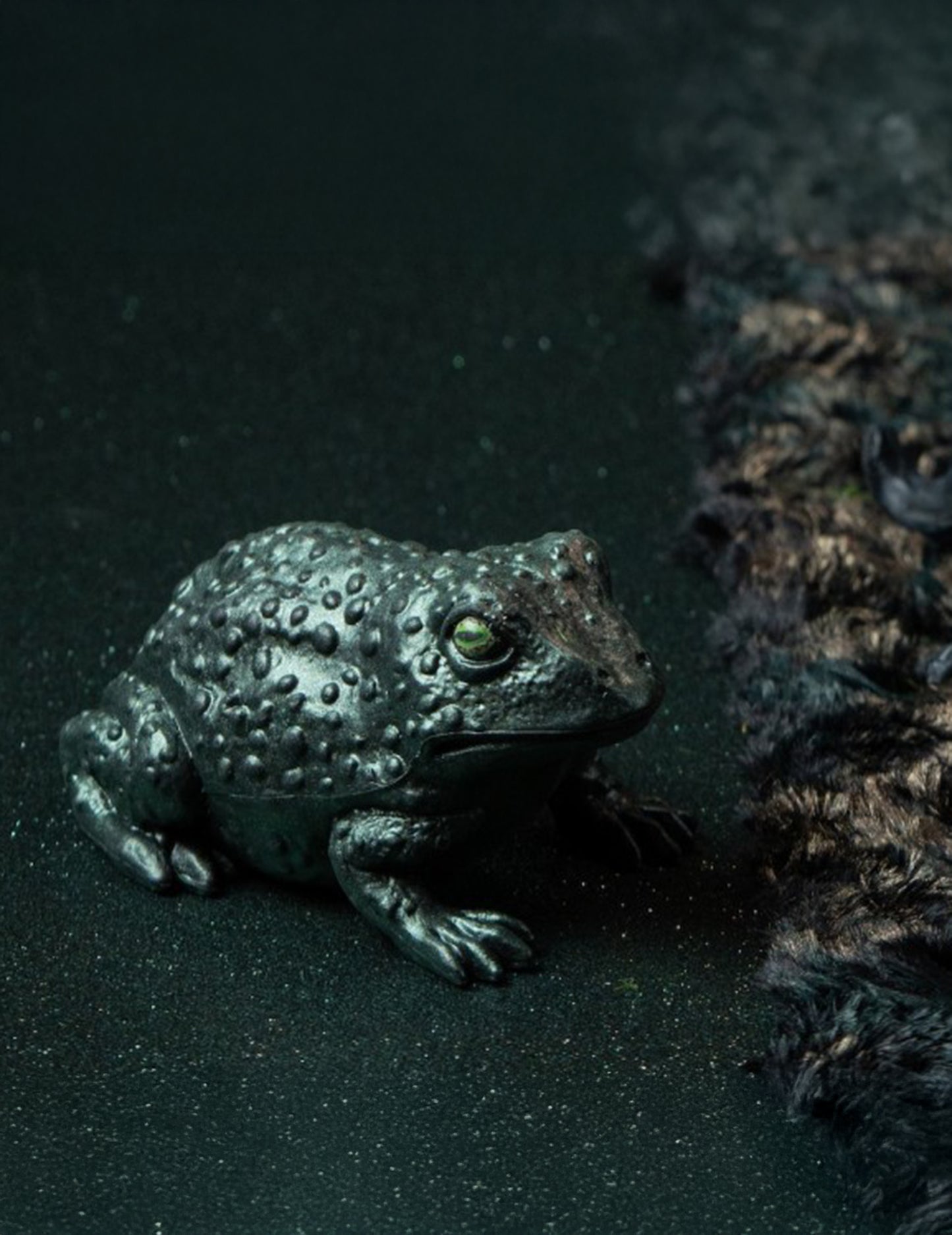 Toad de plastic verde iridescent 12.5 cm