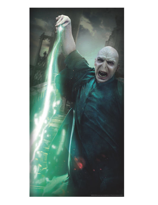 Gros plan sur Voldemort lançant un sort du Décoration de porte Voldemort Harry Potter™
