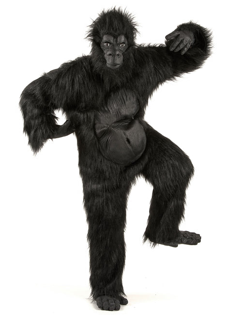 Costume mascote