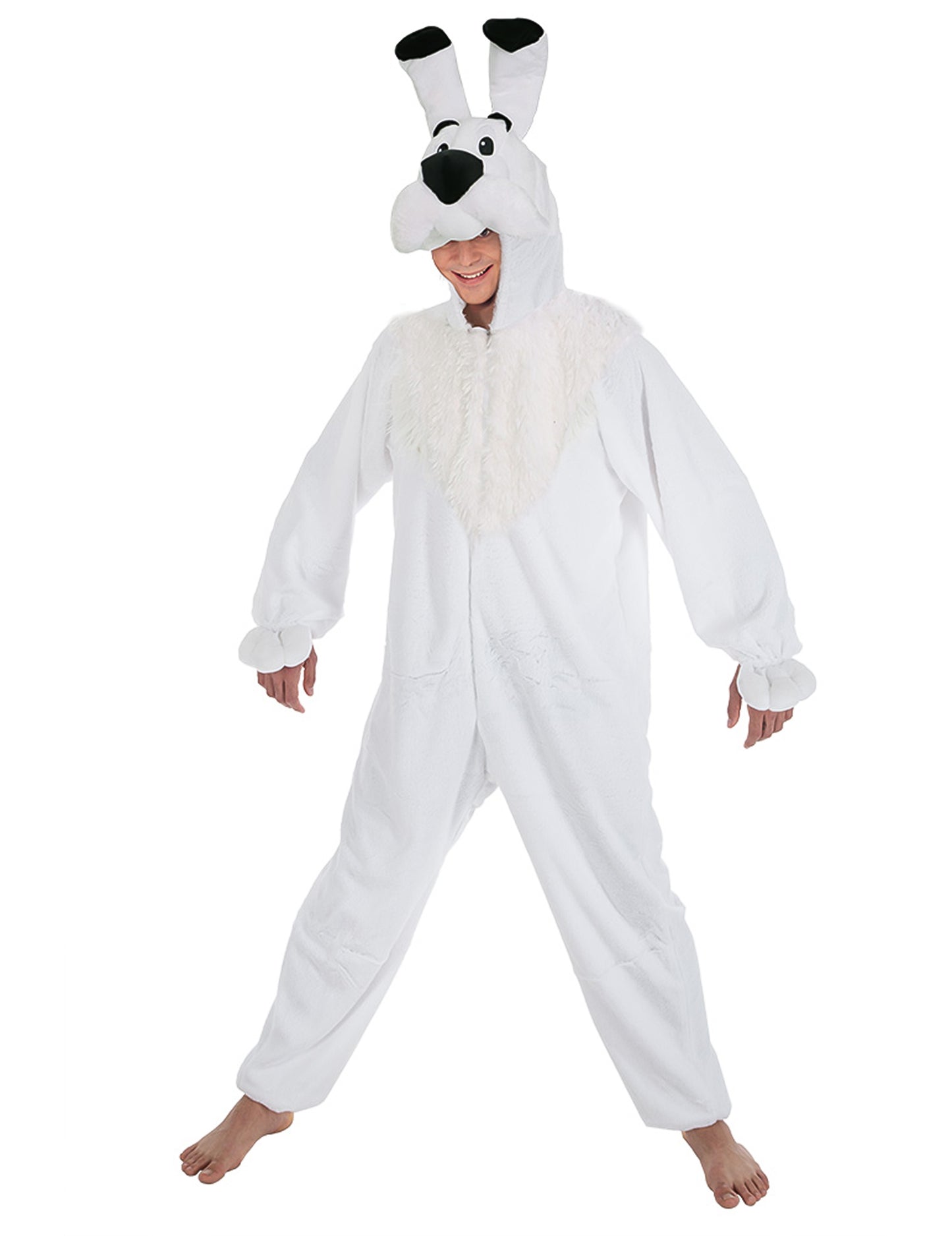 Idefix asterix și adult obelix costum