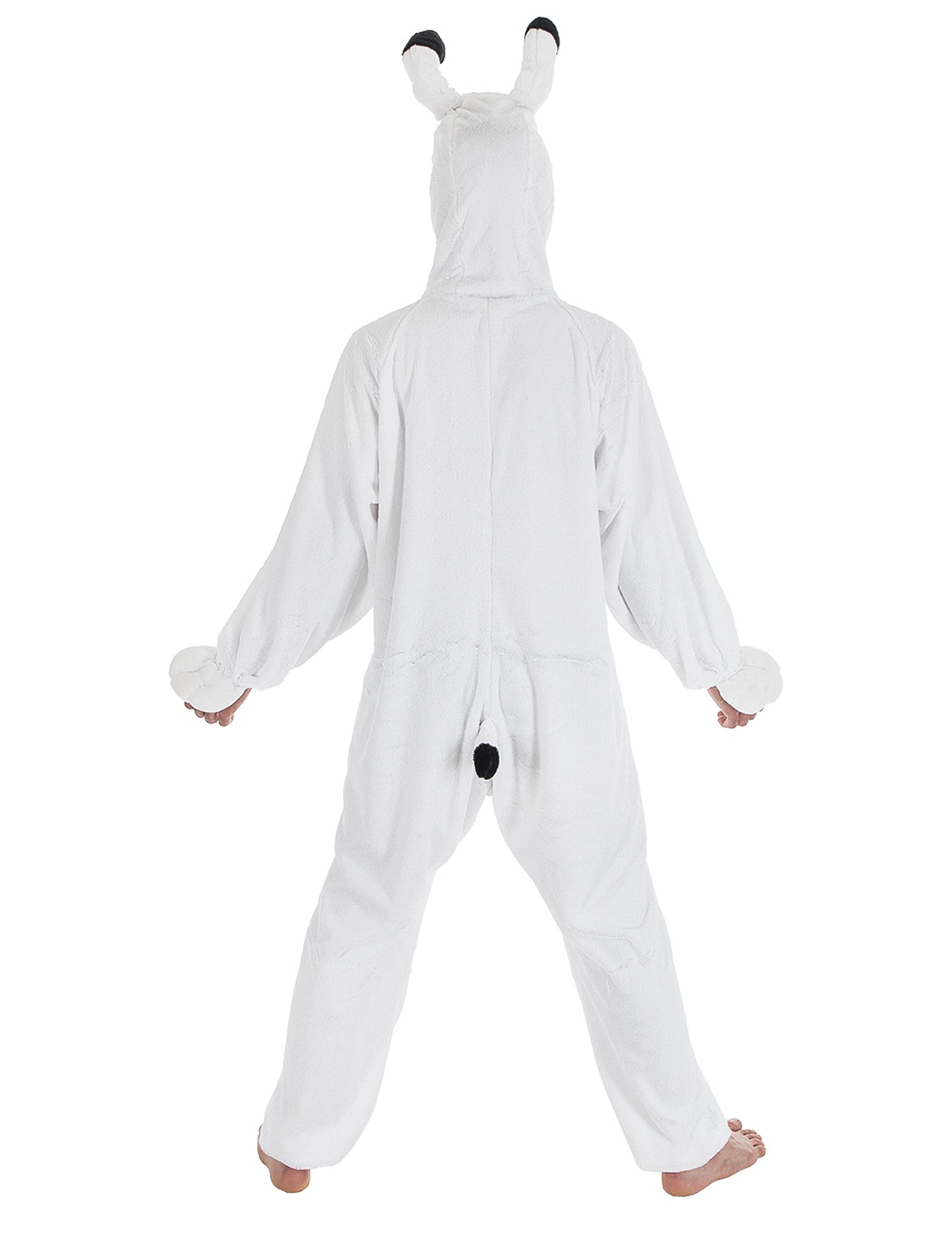 Idefix asterix și adult obelix costum