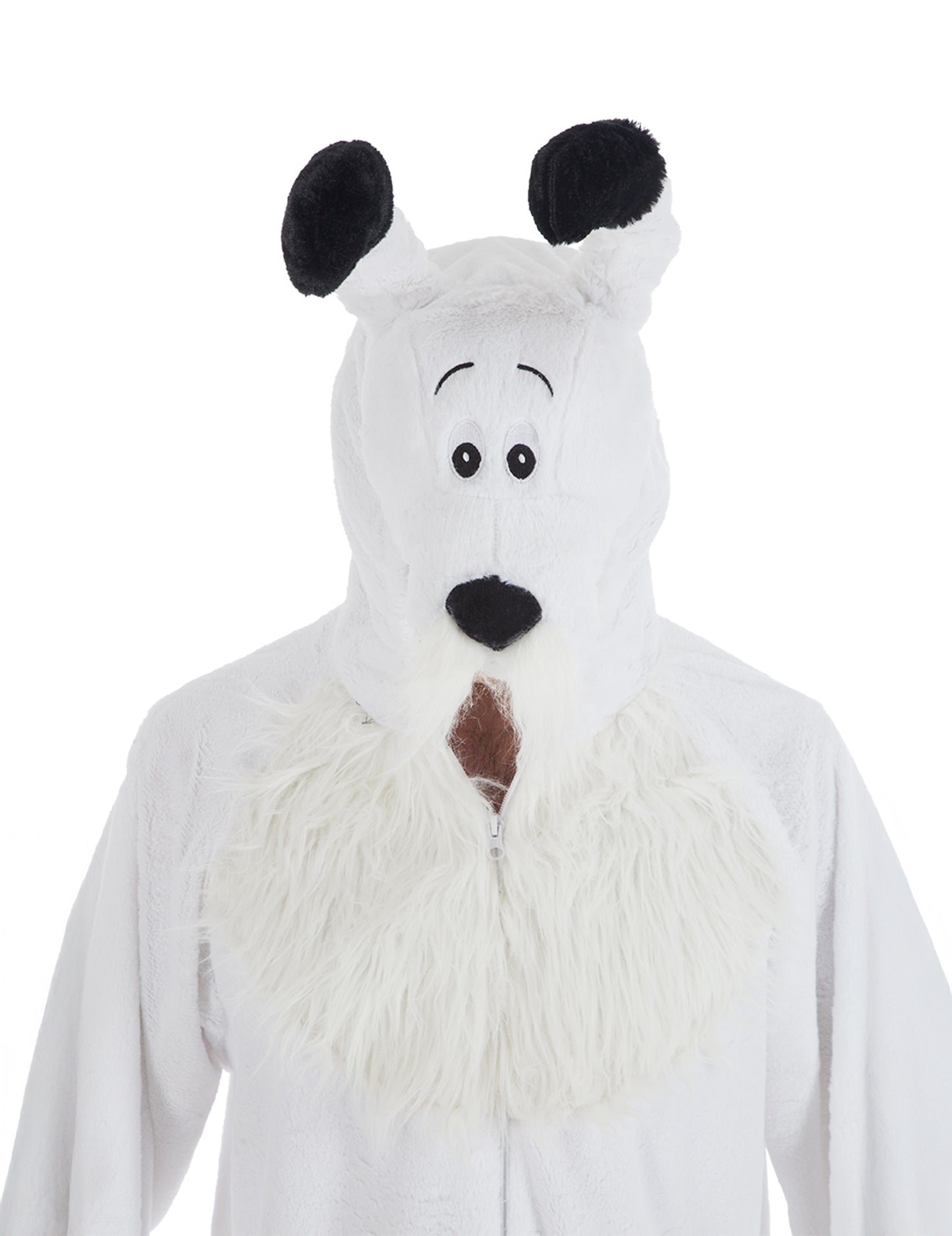 Idefix asterix și adult obelix costum