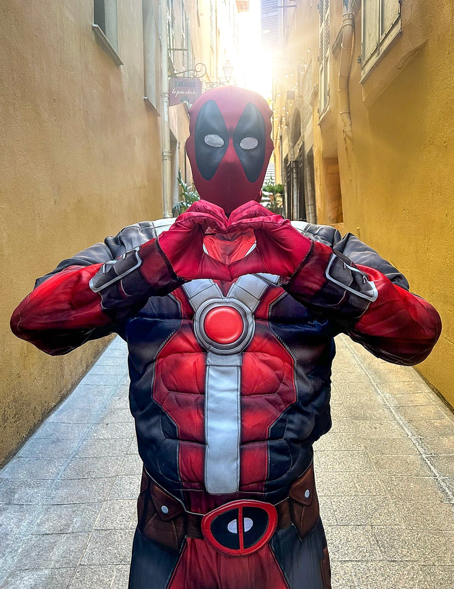 Deghizare de lux de lux 2 adult