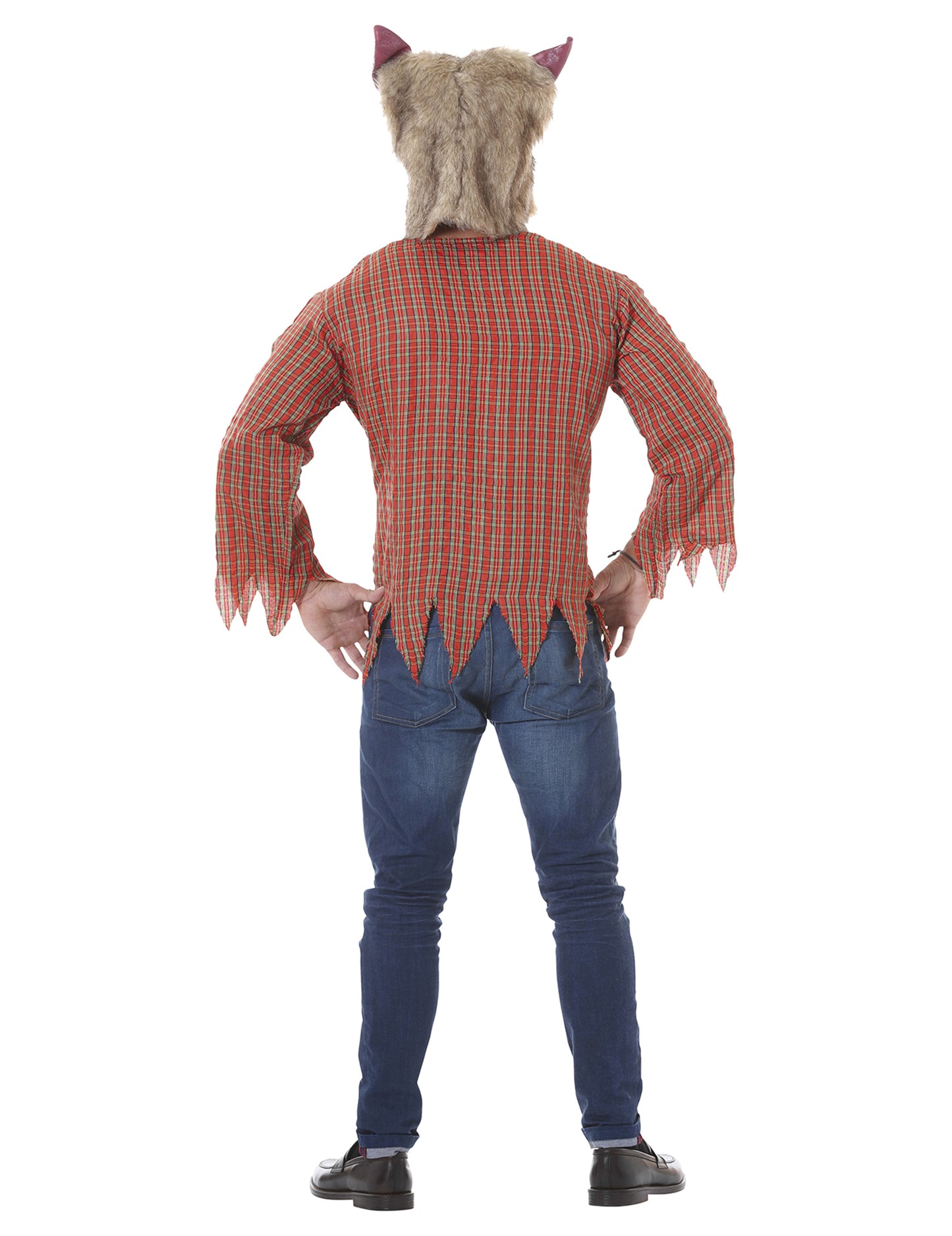 Lupul adult de deghizare urâtă