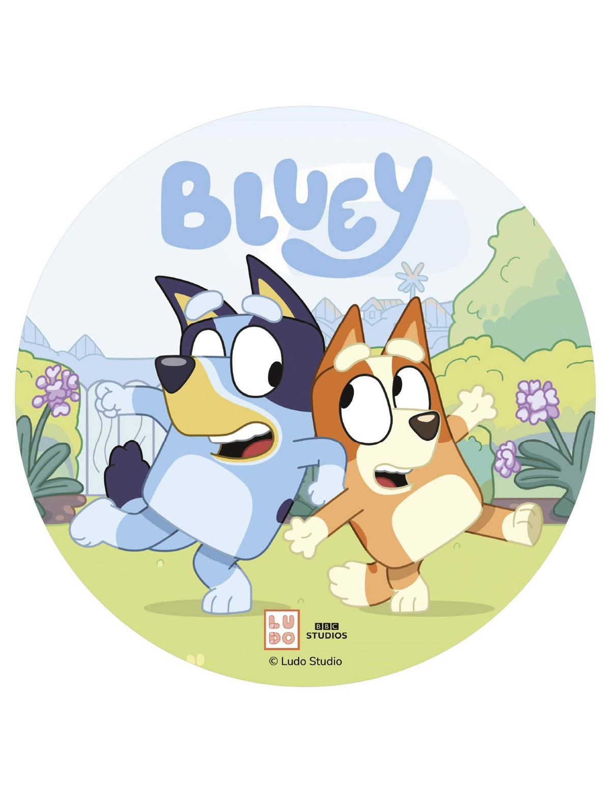 Disc din vafă pentru tort Bluey™ 20 cm