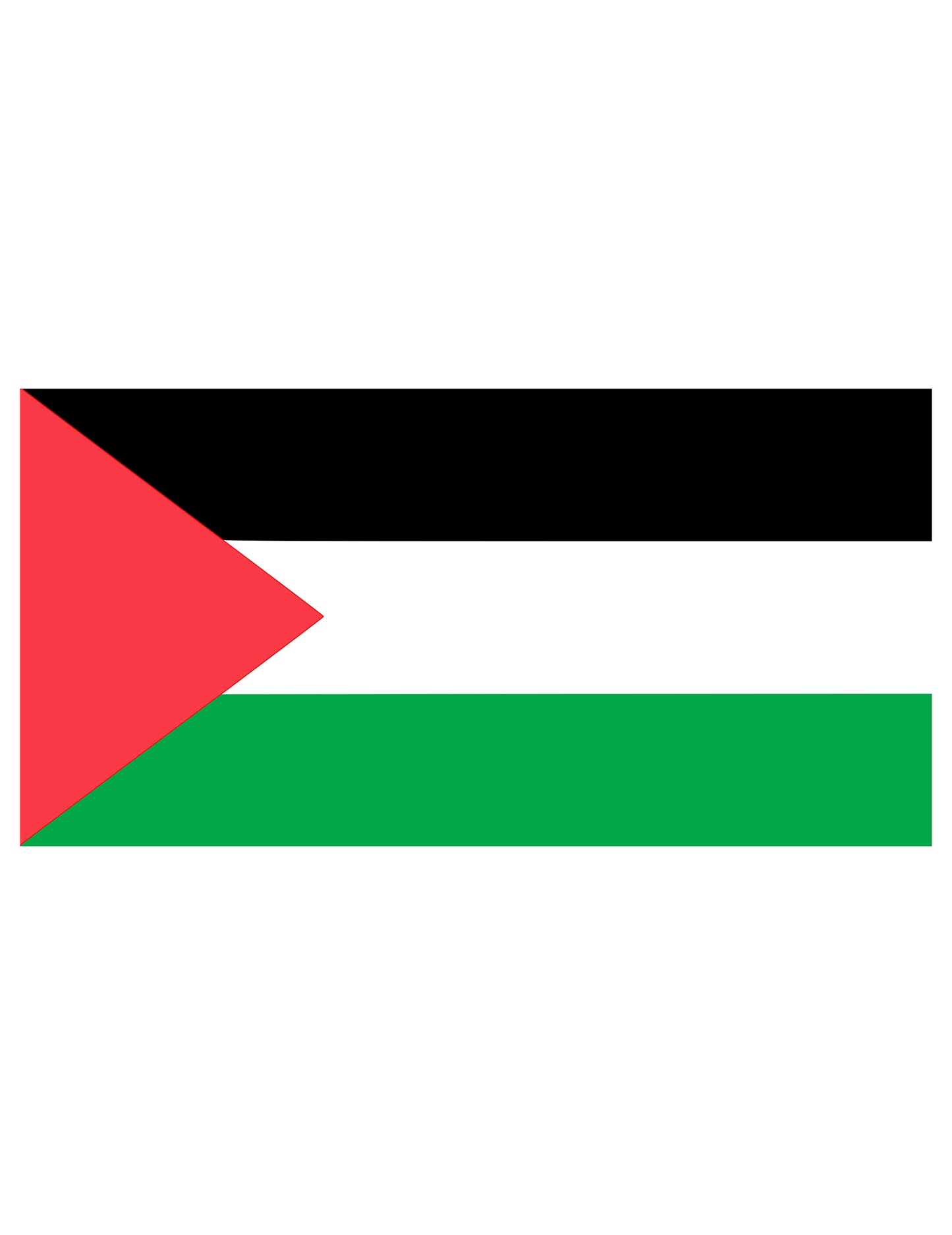 Steag Palestina din material textil 150 x 90 cm