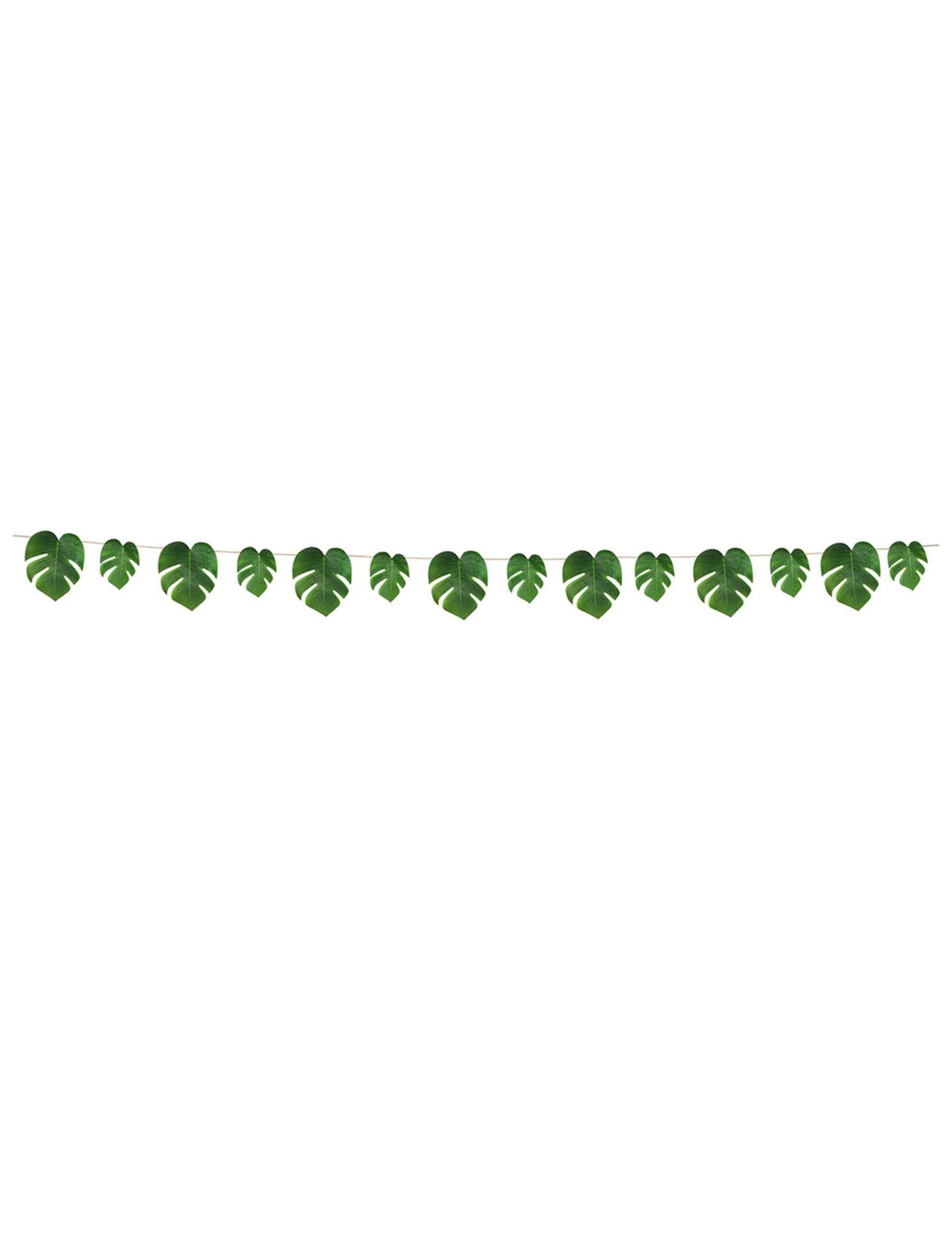 Vue d'ensemble de la guirlande feuilles tropicales monstera