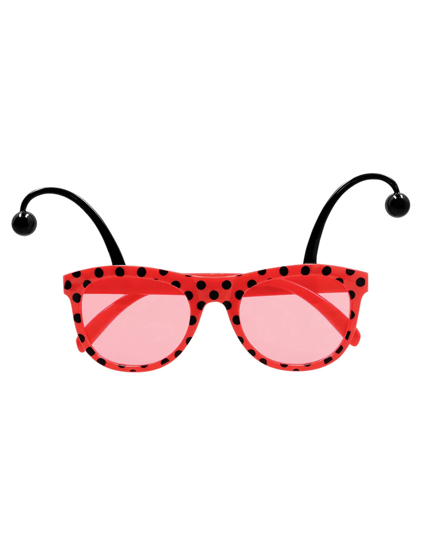 Kit accessoires coccinelle adulte