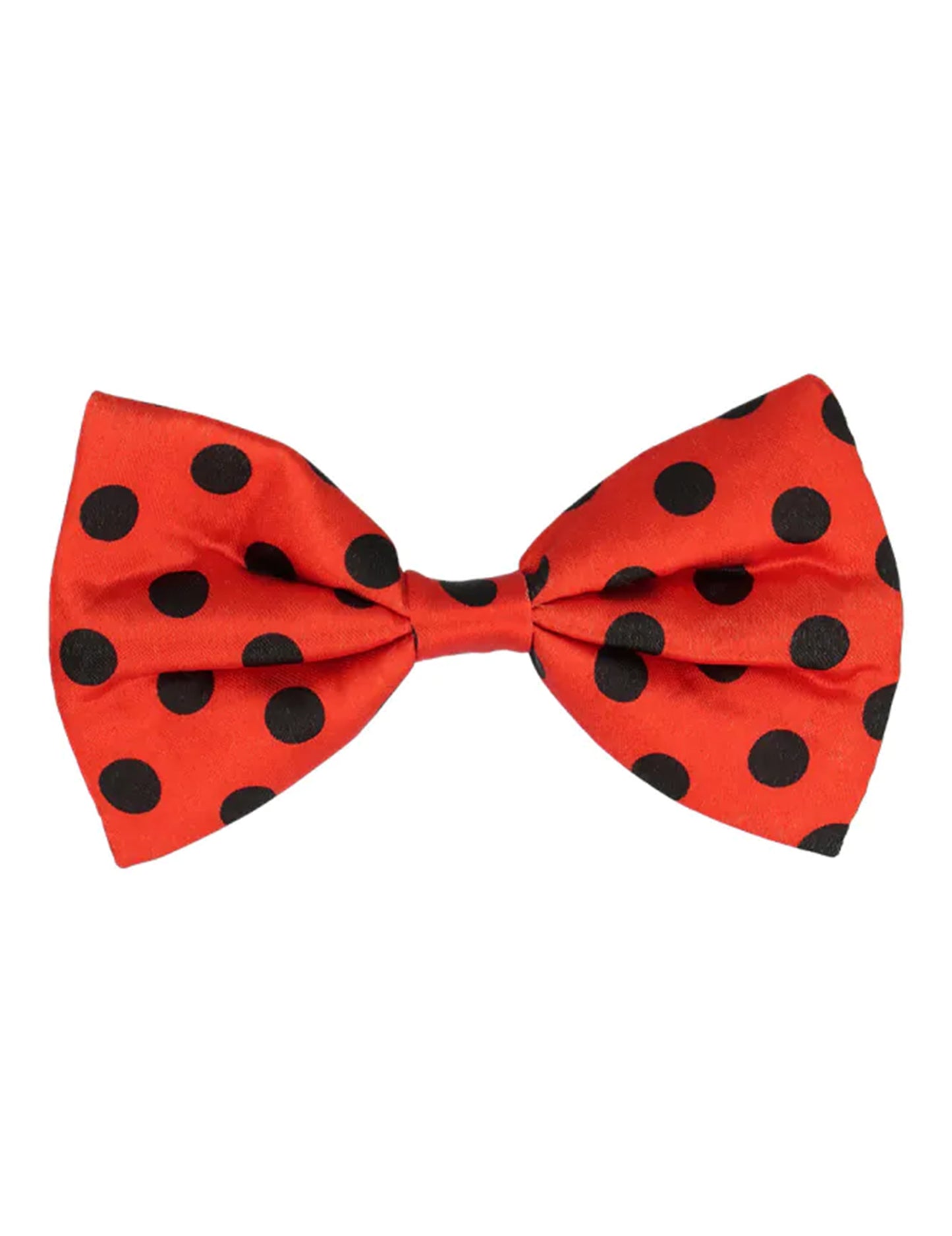 Kit accessoires coccinelle adulte