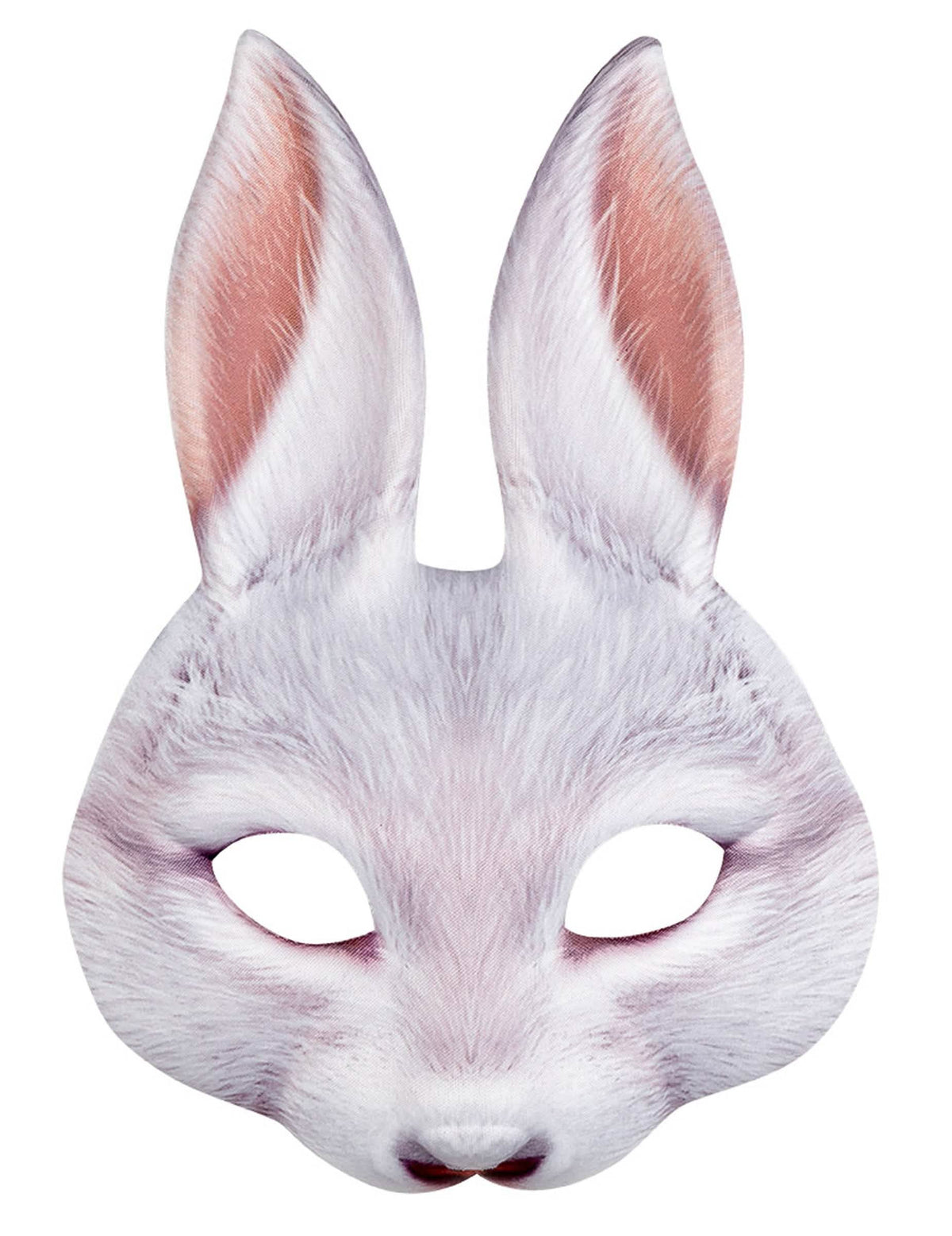 Vue de face du loup lapin
