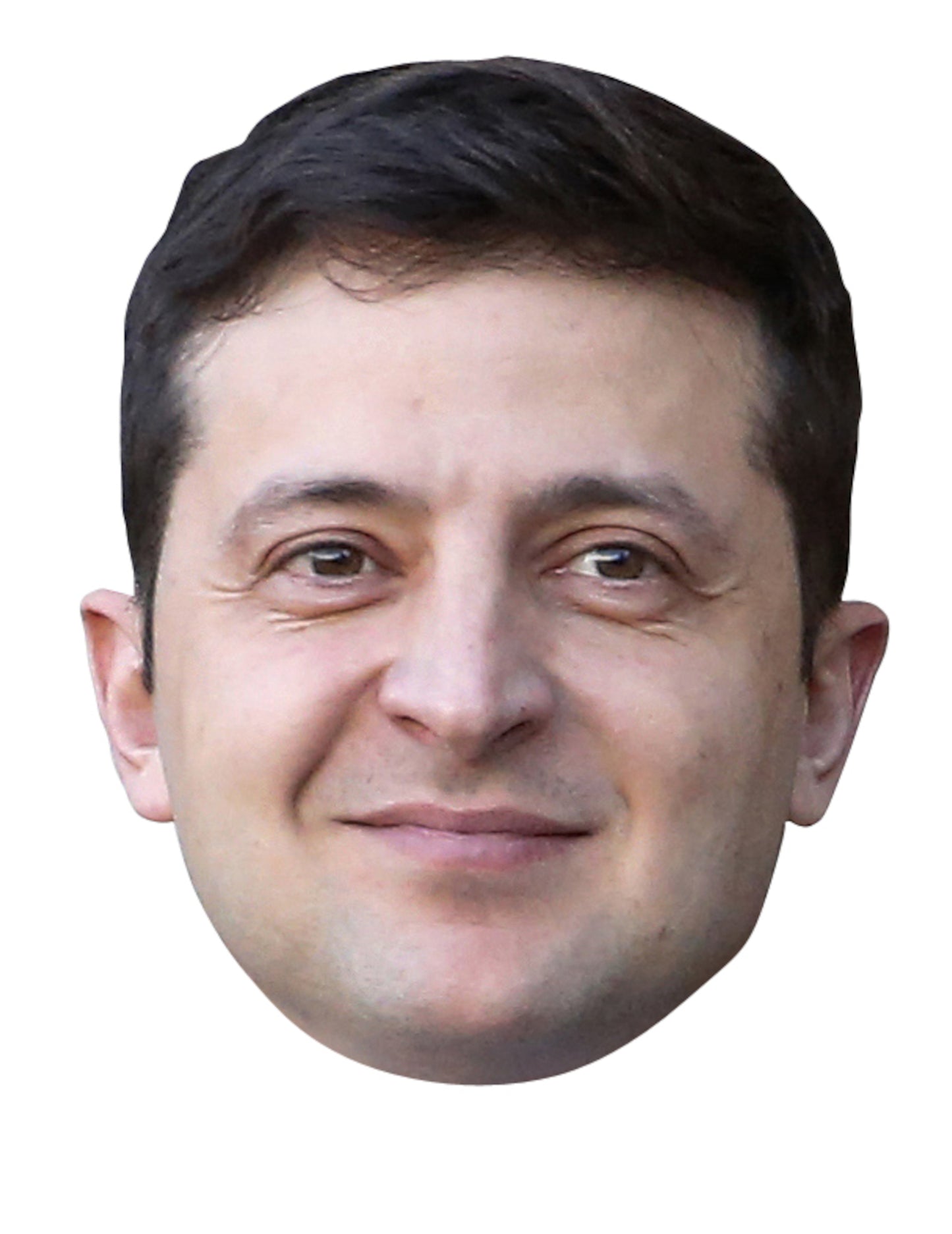 Carton Volodymyr Zelensky Adult Volodymyr