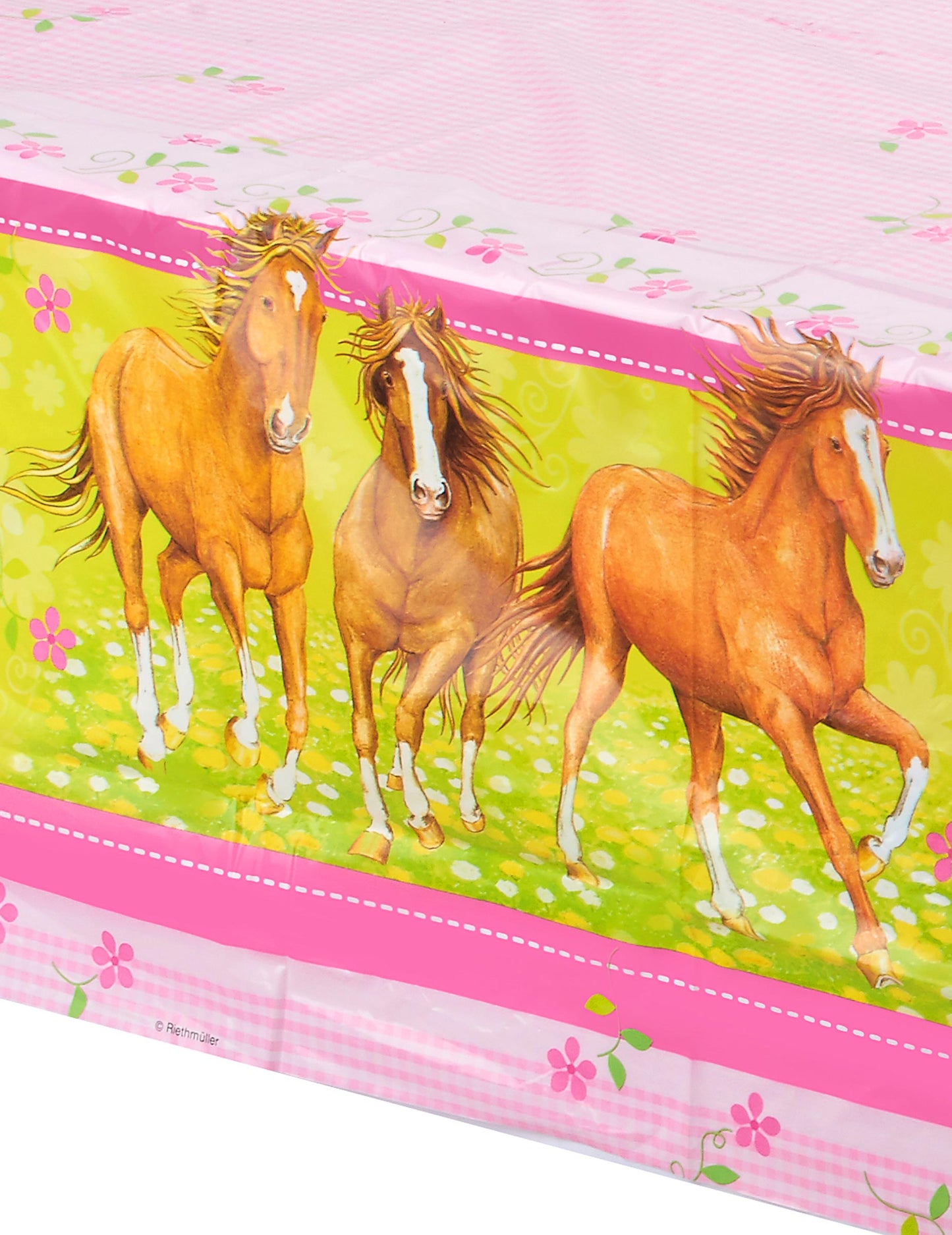 Detaliu al ilustrației cu cai galopând de pe masa cu cai