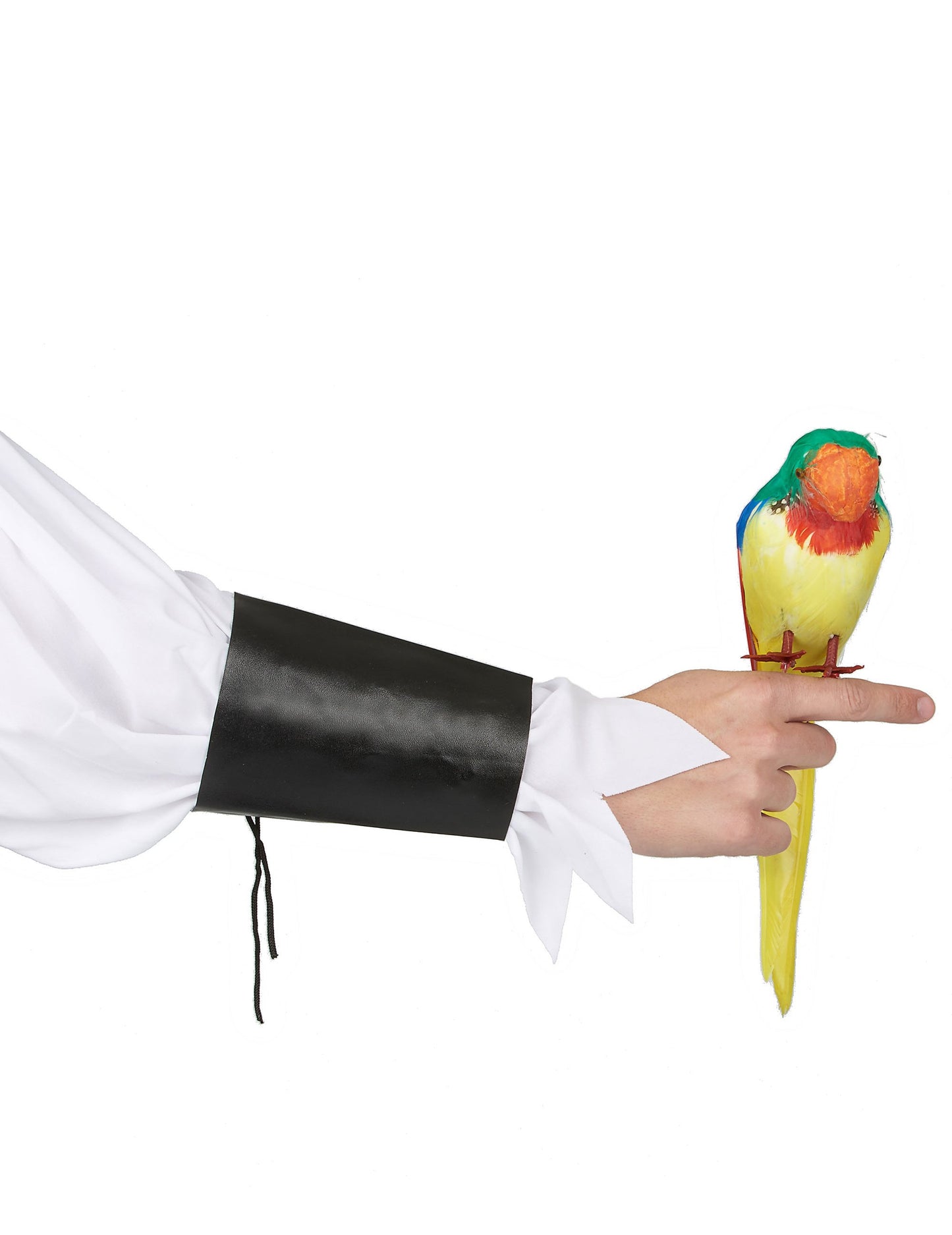 Papagalul insulelor Hawaii pentru adulți galben, verde și roșu