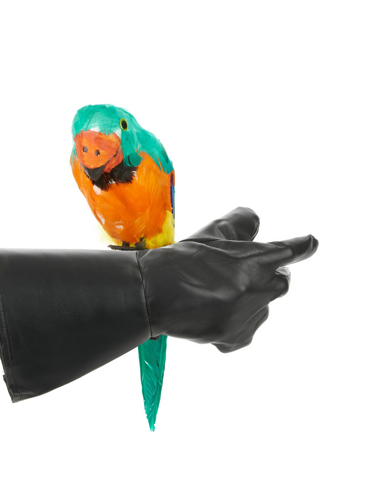 Insule Papagal verde