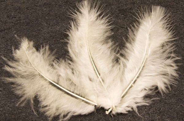 20 pene decorative ivory 5.5 cm pentru nuntă