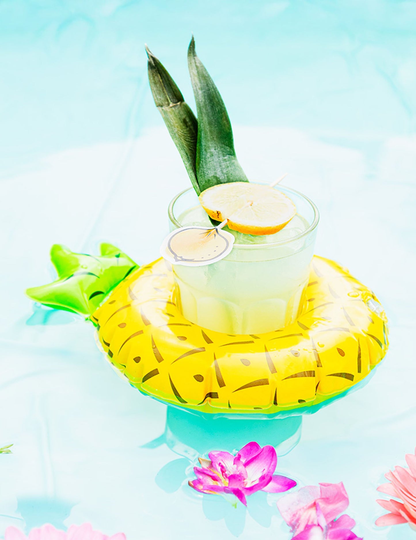 Suport gonflabil al cupei de ananas