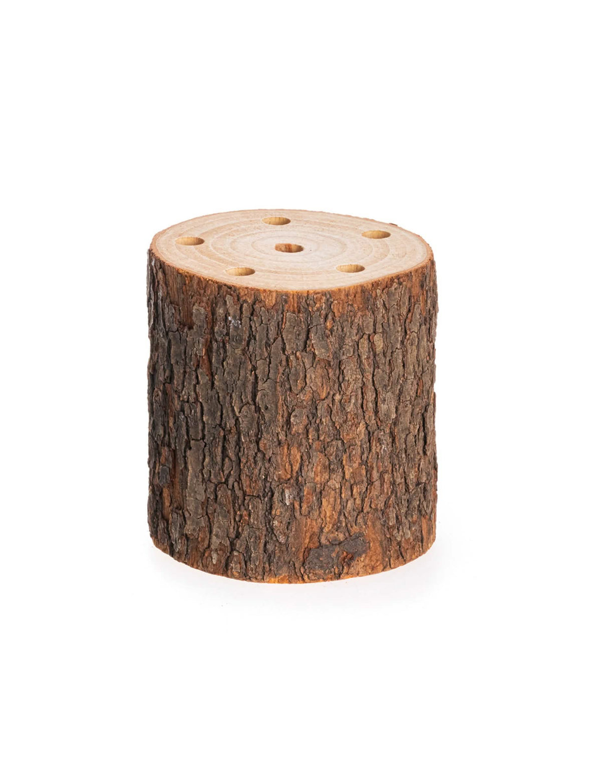 Bază de lemn cu 6 orificii pentru flori uscate, din lemn natural