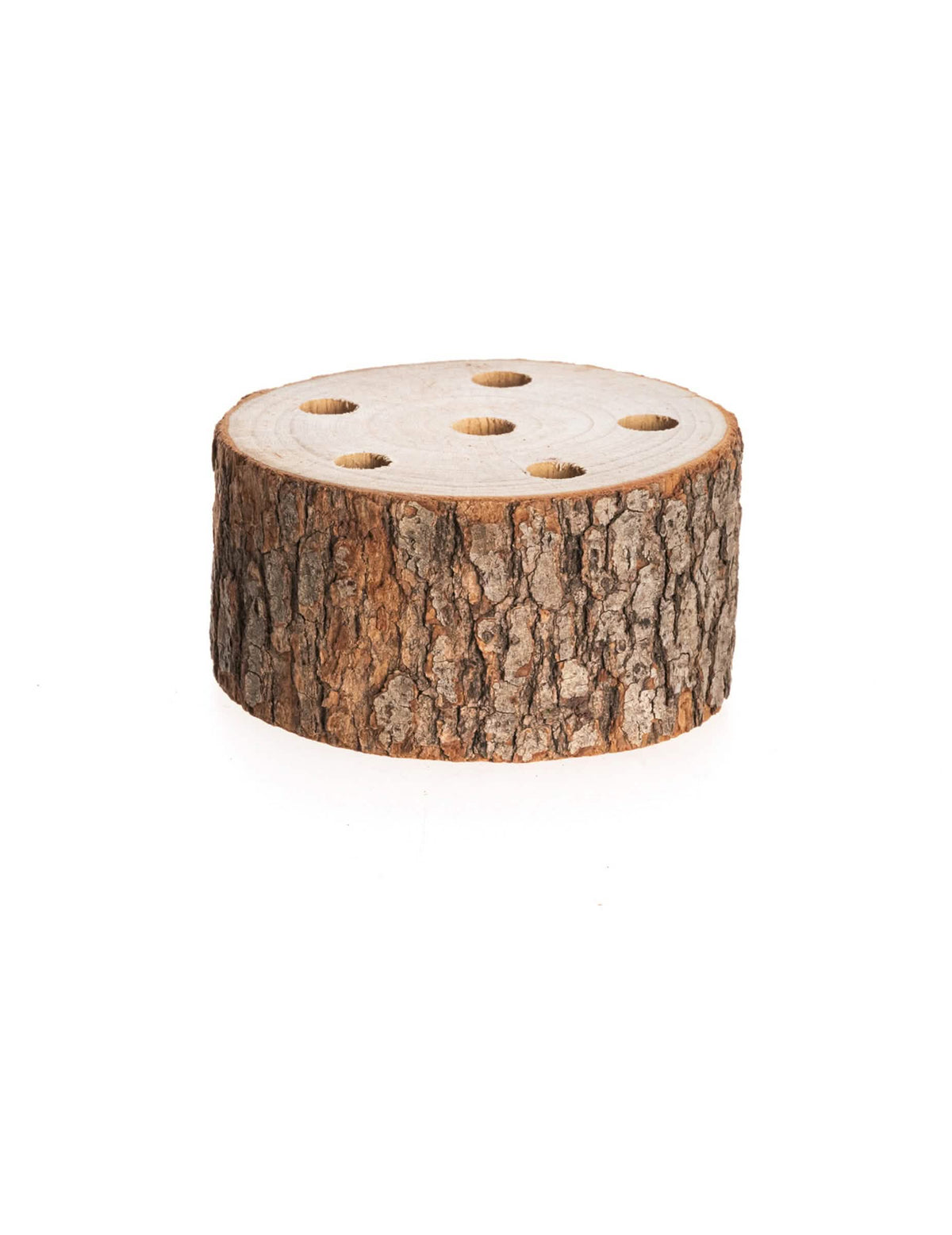Trunchi de lemn suport pentru flori uscate pentru decor natural cu 6 orificii