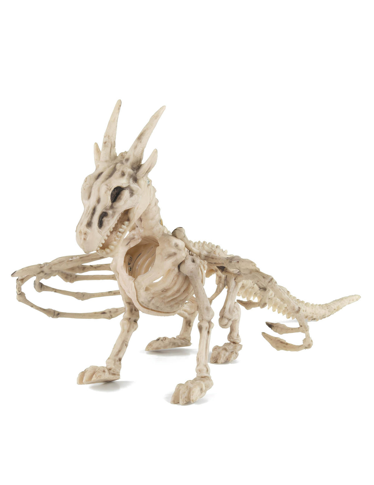 Squelette de dragon pour décoration couleur os