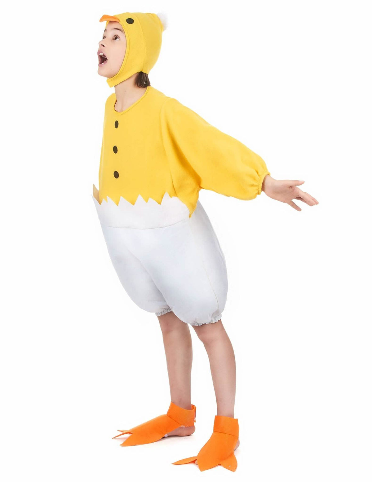 Costum de familie cocoș, găină și pui