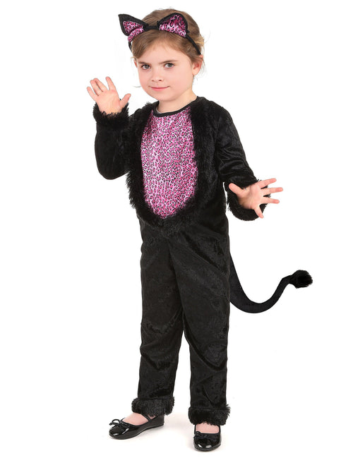 Costume de pisică