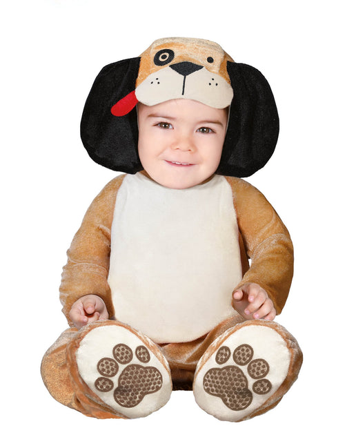 Costume de câine