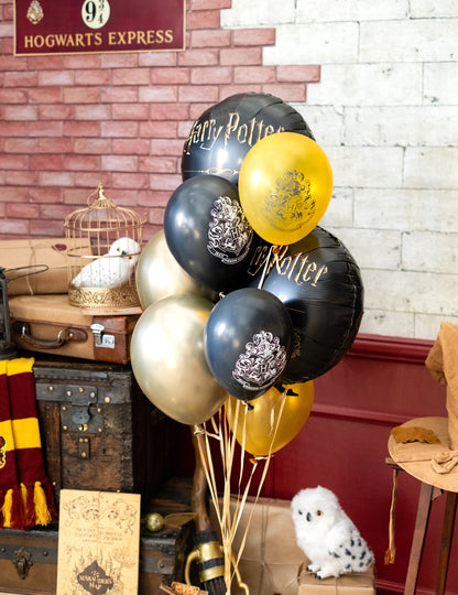 10 baloane Harry Potter Latex 25 x 32 cm